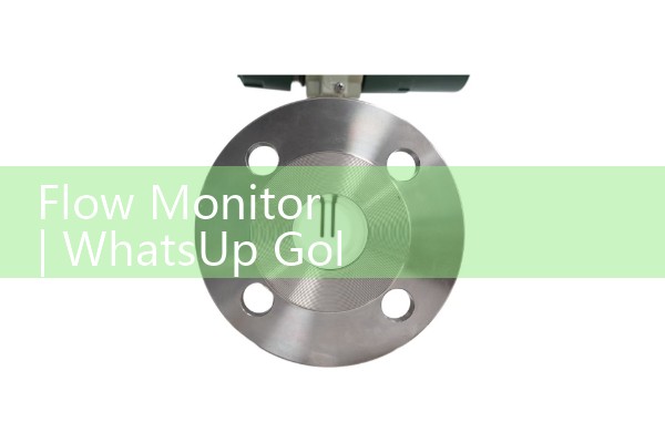 flow monitor|vortex flow meter