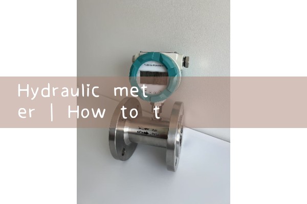 hydraulic meter|vortex flow meter